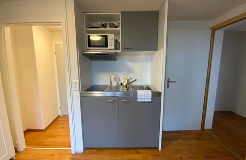 Hottingen Apartment | Swiss Star California
