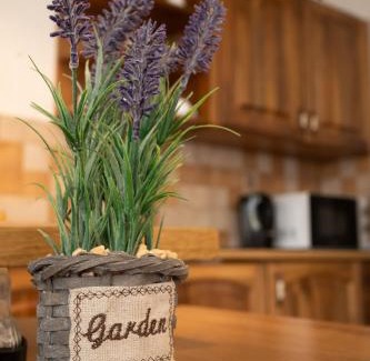 Gyor Bed & Breakfast | Szenti Vendégház
