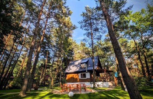 Radzymin House | Szumiąca Sosna - Jacuzzi, Ognisko, Sauna, BBQ
