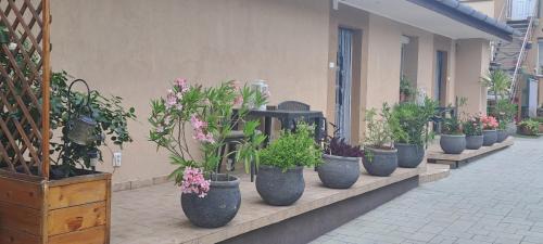 Balatonkiliti Apartment | Tünde lak