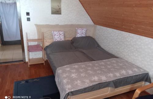 Lakitelek Apartment | Tőserdő