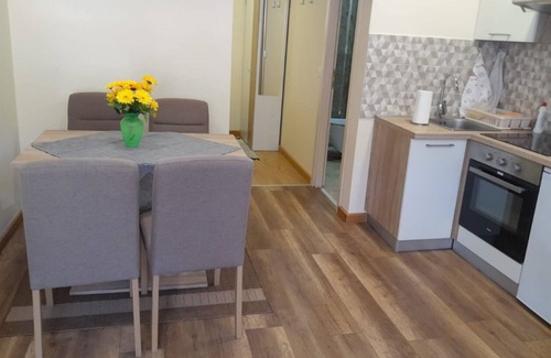 Krapina Apartment | T & P- 200m From Centar City - SA1