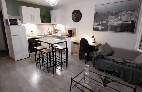 Centre Ville Apartment | T1 bis apartment near Place Centrale