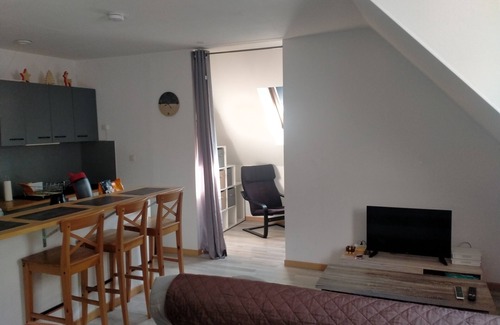 Saint-Jean-de-Maurienne Apartment | T1 PLEIN CENTER SAINT DE MAURIENNE EN SAVOIE