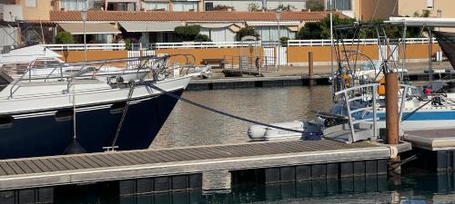 Frontignan Apartment | T2 cosy vue sur le port de plaisance