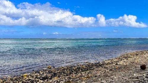 Papara House | TAHITI - Bungalow Arii