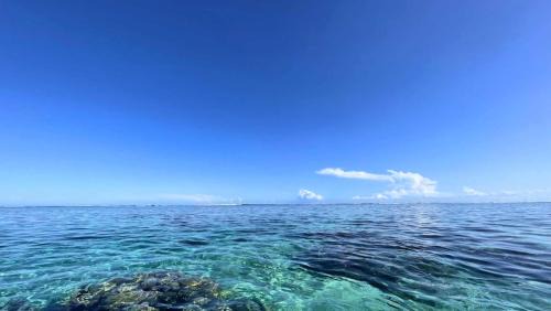 Papara House | TAHITI - Mango Lodge Moana