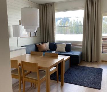 Tahkovuori Apartment | Tahko Chalets B402