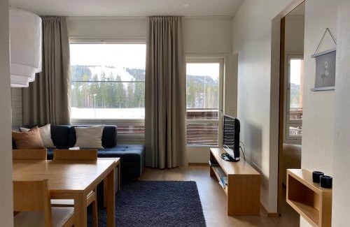 Tahkovuori Apartment | Tahko Chalets B402