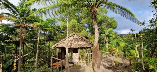 Tanna Island Bed & Breakfast | Tanna Lava View Bungalows