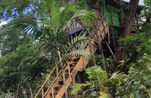 Tanna Island Bed & Breakfast | Tanna Vulcano View Treehouse
