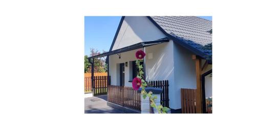 Radlow Apartment | Tarnów Velo Apartament - Dom