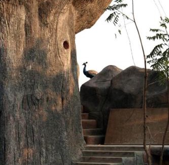 Avarghani Resort | Tathastu Pench