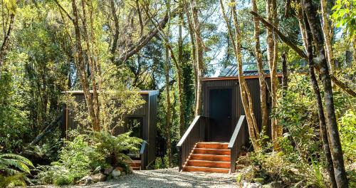 Ngahere House | Te Aka Treehouse