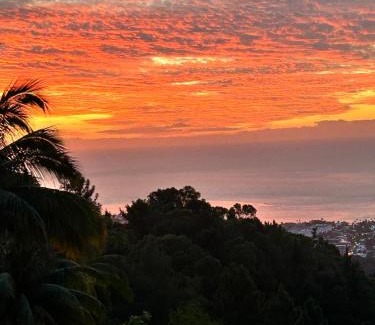 Pirae House | Te Vaearai lodge