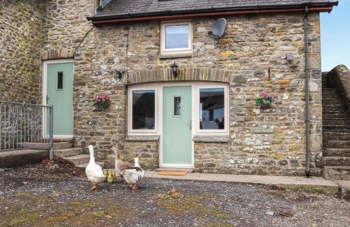 Llandeilo House | Teifi Cottage - Uk49590