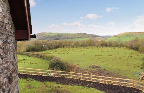 Llandeilo House | Teifi Cottage - Uk49590