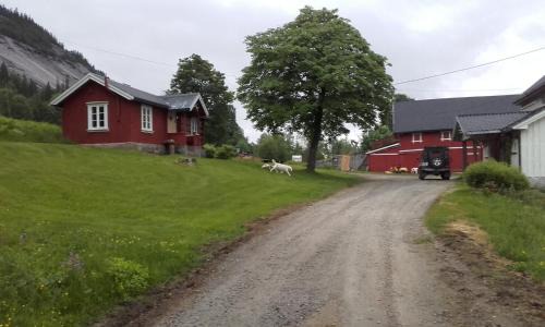 Fyresdal Municipality House | Telemark Inn - Hytte