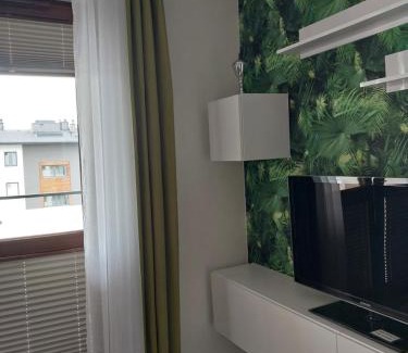 Wyszkow Apartment | Telimena