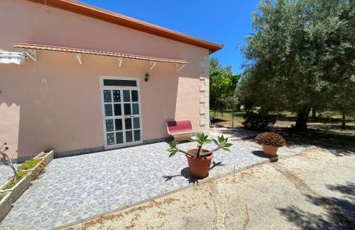 Carrozziere House | Tempio di Giove Park