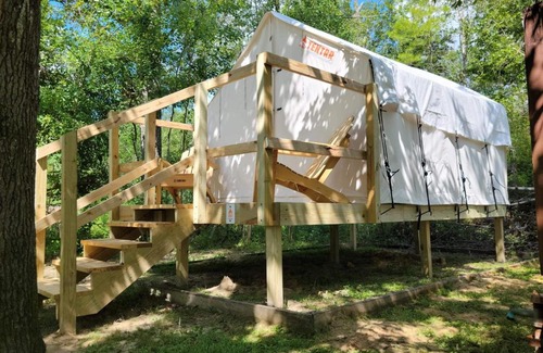Springfield Other | Tentrr - Louisiana Tickfaw State Park - Woodland H - Single Camp