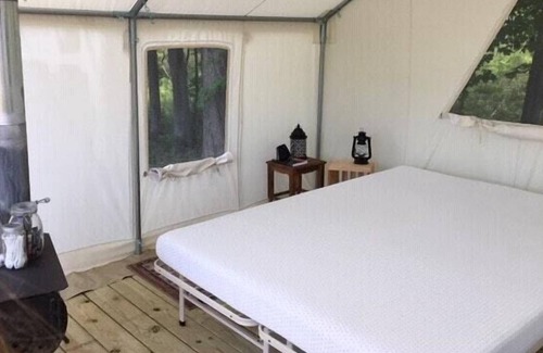 Waterville RV Rental | Tentrr Signature Site - Pasture Paradise Camp at Parkwood Farm