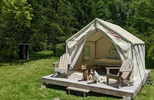 Walden Other | Tentrr Signature Site - Pastoral Paradise on 42-Acre Farm Close to NYC