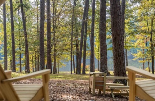 Morton RV Rental | Tentrr State Park Site - Mississippi Roosevelt State Park - Tall Trees A - Sing