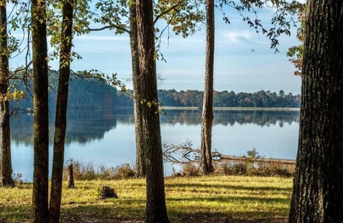 Morton RV Rental | Tentrr State Park Site - Mississippi Roosevelt State Park - Tall Trees B - Sing