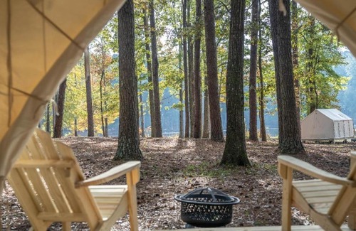 Morton Other | Tentrr State Park Site - Mississippi Roosevelt State Park - Tall Trees D - Single Camp