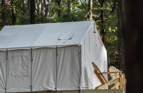 Morton Other | Tentrr State Park Site - Mississippi Roosevelt State Park - Tall Trees B - Single Camp