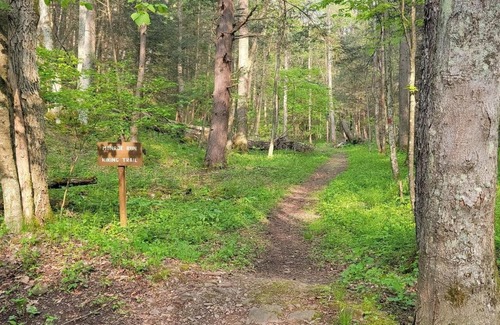 Swanton Other | Tentrr State Park Site - Big Run State Park - Site E