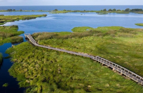 Mandeville Other | Tentrr State Park Site - Fontainebleau State Park Site C