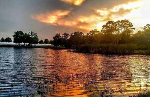 Mandeville Other | Tentrr State Park Site - Fontainebleau State Park Site C