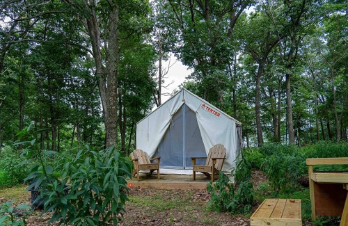 Mathias RV Rental | Tentrr State Park Site - WV Lost River State Park - Wooded Wilderness B - Single