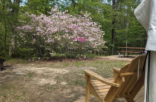 Saint Landry RV Rental | Tentrr State Park Site - Louisiana Chicot State Park - Site C - Double Camp