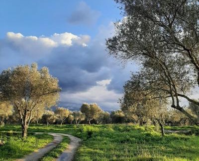 Seminara House | Tenuta Le Tre Querce