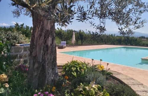 Segni House | Tenuta Terre dei Latini
