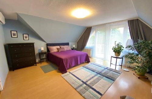 Csomor House | Teresa Guest House