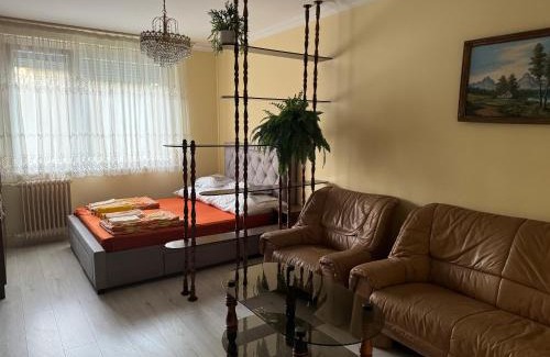Tiszaujvaros Apartment | Termál Apartman