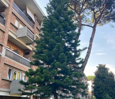 Rione XIV Borgo Apartment | Terracito!