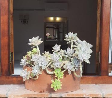 San Carlos Bed & Breakfast | Terraza del Molle