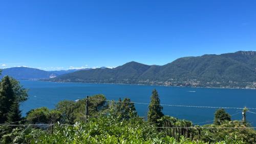 Brezzo di Bedero Apartment | Terrazza sul lago