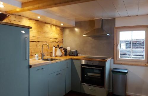 Sedrun Apartment | Tgèsa Felici