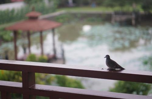 Bang Kruai Resort | Thaihome Resort