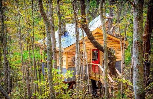 Stonewall Cabin | The Aliyah Treehouse with swinging bridge +285 acres hiking trails