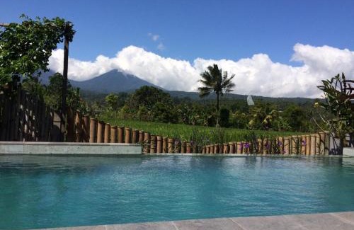 Banjartegehe House | The Aroma Villa Munduk