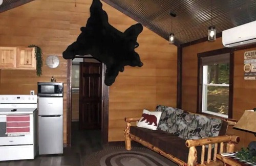 Peebles Cabin | The Bear Den (Secluded in Amish Country and peaceful)
