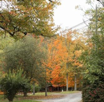 Mingoville Other | The Bellefonte Campground