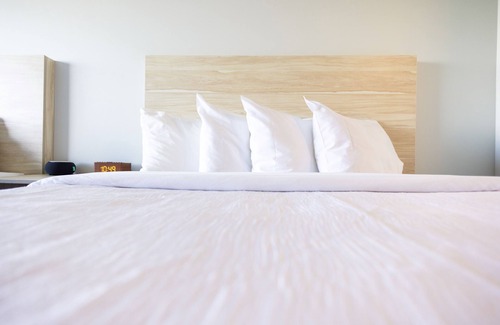 Upper Peninsula Michigan Hotel | The Birchy, Adventure Lodging by Base Hospitality Group